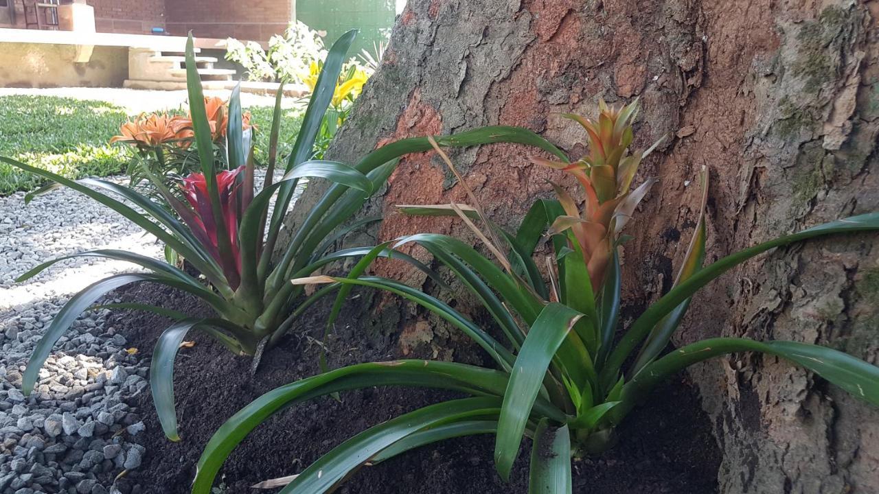 Hospedagem econômica, Suítes Flor de Maria na Martin de Sá Caraguatatuba Exterior foto